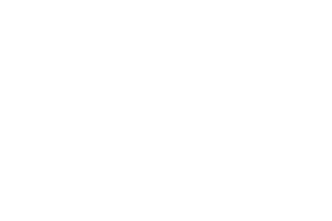 Sinfonia Viva