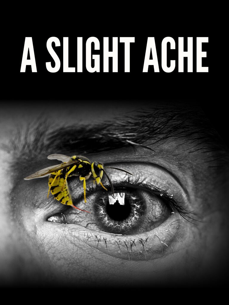 Close up image of an eye in black and white colours with a full colour wasp exploring the eye lid and the words A Slight Ache